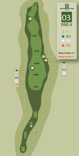 Hole1Image